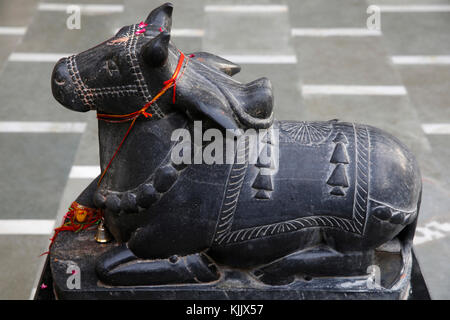 Nandi Bullen Murthi (Statue) in Delhi Hindu Tempel. Delhi. Indien. Stockfoto