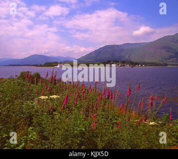 Sommer Blick über die corran Sound in Richtung mit corran ardgour Leuchtturm, West Highlands Stockfoto