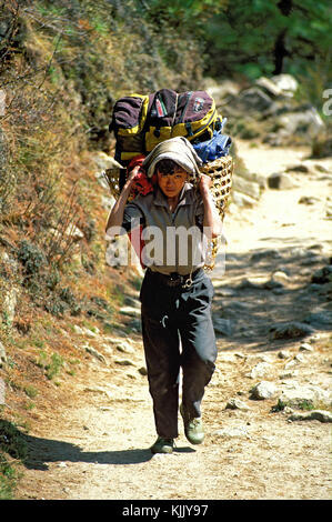 Sherpa, Taschen, die einen Wanderweg. Nepal. Stockfoto