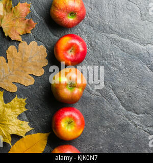 Herbst dunklen Hintergrund oder Rahmen der Gefallenen gelbe Blätter und reife rote Äpfel. Rahmen für Text oder Foto. Für einen Artikel über Herbst oder Ernte. Stockfoto