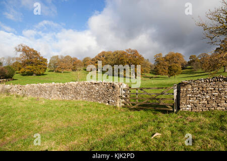 Cotswold trockene Mauer aus Stein und Holz- Fünf bar Gate mit Gras Felder und Bäume im Herbst hinter, Stowell, Cotswolds, Gloucestershire, England, United Kingd Stockfoto