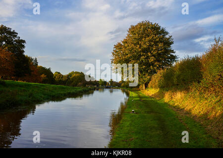 Herbst Szene an Nummer zwei in der Nähe Audlem auf dem Shropshire Union Canal Stockfoto