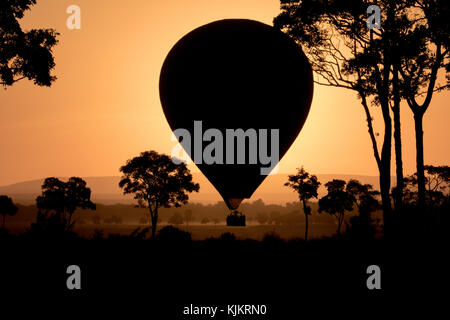 Masai Mara National Reserve. Kenia. Stockfoto