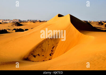 Lybische Wüste, Assiout Provinz. Ägypten. Stockfoto