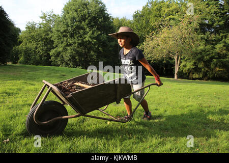 Junge Schubkarre. Frankreich. Stockfoto