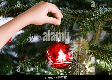 10-Year-Old Boy einen Weihnachtsbaum eine Schüssel aufsetzen. Frankreich. Stockfoto