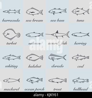 Vektor Salz- und Süßwasser Fisch Linie Abbildung Stock Vektor