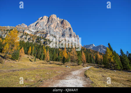 Blick auf die tofana Bergen im Hintergrund von Falzarego Pass in einem Herbst Landschaft in Dolomiten, Italien. Berge, Tannen und vor allem Lar Stockfoto