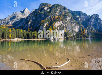 Blick auf die Pragser See in einem farbenfrohen Herbst Landschaft in den italienischen Dolomiten Alpen, Pustertal, im Fanes - Sennes und Prags. Stockfoto