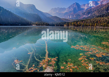 Herbstliche Blick auf Tovel See, Val di Non innerhalb des Adamello Brenta Naturpark, Trentino - Alto Adige, Italien. Stockfoto