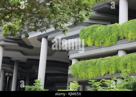 Detail eines modernen Gebäudes in Singapur, teilweise durch wachsende grüne Vegetation bedeckt. Linien und Kurven sind mit Pflanzen vermischt. Stockfoto