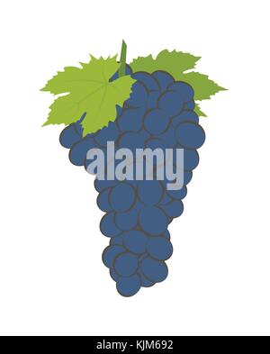 Bündel Weintrauben auf Weiß Stock Vektor