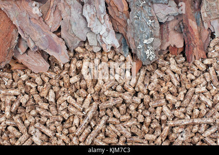 Kiefer Biomasse und pellets - alternative Energi Stockfoto