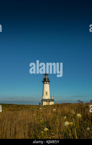 Yaquina Head Lighthouse sitzt unter blauen Himmel entlang der Küste von Oregon Stockfoto