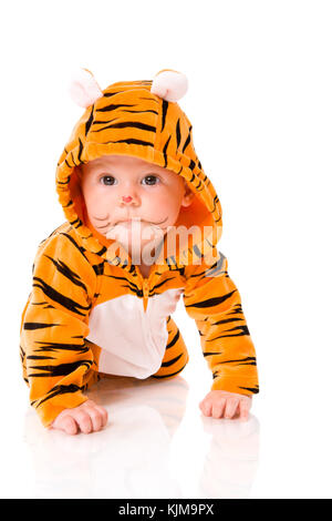 Sechs Monate Baby tragen Tiger Anzug sitzen isoliert auf weiss Stockfoto