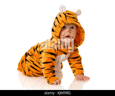 Sechs Monate Baby tragen Tiger Anzug sitzen isoliert auf weiss Stockfoto