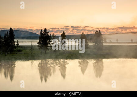 Wy 02662-00 ... Wyoming - am frühen Morgen Nebel über den Yellowstone River bei Sonnenaufgang im Hayden Valley, Yellowstone National Park. Stockfoto