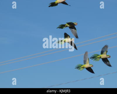 Entlang einer Reihe von Wanderungen und Fahrräder jetzt anschließen Stockfoto