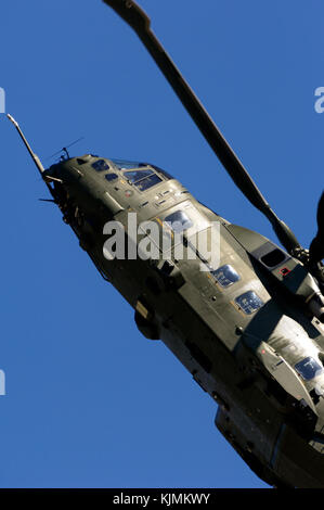 Flying Display steilen Aufstieg, 28 Squadron Stockfoto