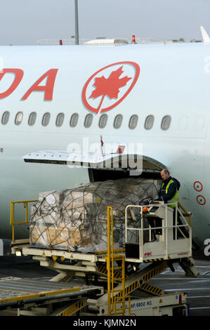 Mann Gelb hohe-viz Waffenrock Beladen in ein Air Canada Airbus A340-300 am Terminal 3 geparkt Stockfoto