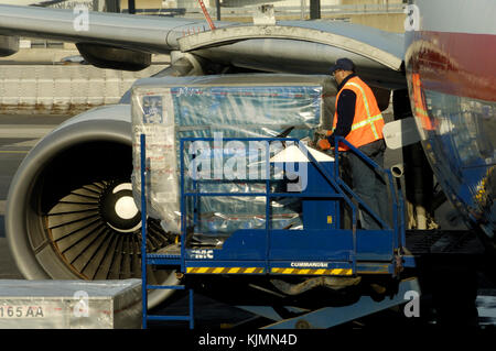 Mann, der eine orange High-viz Waffenrock entladen LD 3 Container von einem American Airlines Airbus A 330-600 R Stockfoto