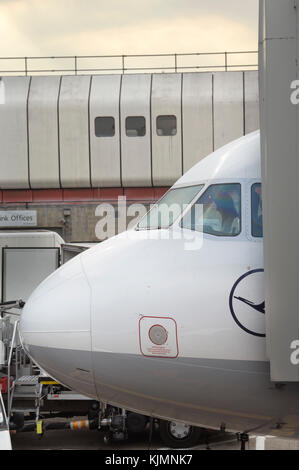 Pilot ist durch die Windschutzscheibe sichtbar der Lufthansa Airbus A 321-100 Stockfoto