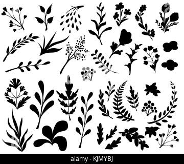 Vintage Set von Hand gezeichnet Zweige mit Blättern und Blumen auf weißem Hintergrund. Schwarze Silhouetten. Vector Illustration. Webseite und mobile Ein Stock Vektor