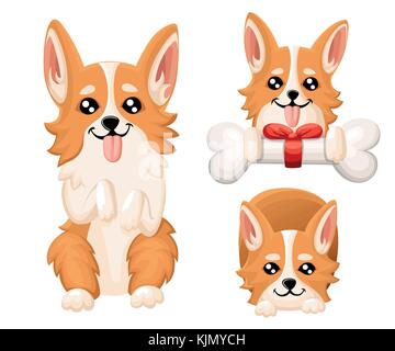 Vector Illustration von niedlichen Hund Welsh Corgi. schöne Welpen für Grußkarte, Pet Shop oder tierärztlichen Kliniken. Hund Welsh Corgi ständigen Web site Seite und Stock Vektor