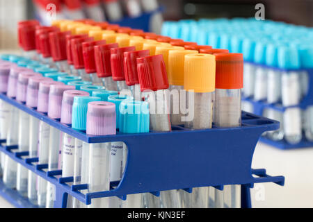 Berlin, Deutschland - Juni 06, 2016: bd vacutainer Blutentnahmeröhrchen Stockfoto