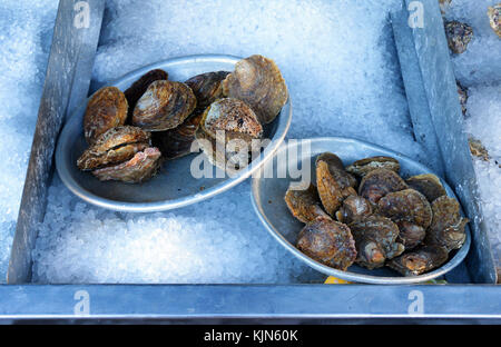 Frische Austern zum Verkauf am Strand von Whitstable Stockfoto