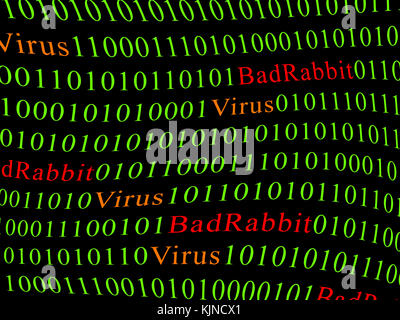 Konzept der Sicherheit und Viren und schlechte Kaninchen ransomware. roten Text von Bad rabbit und Grün ist der binäre Code. Stockfoto