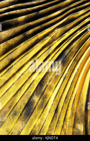 goldenen Stoff Textilhintergrund Stockfoto