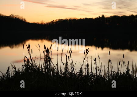 Den Herbst Stimmung auf der Harriman State Park New York Stockfoto