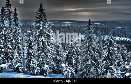 Ansicht des Winterwaldes in Nordfinnland, hdr-Fotofilter Stockfoto