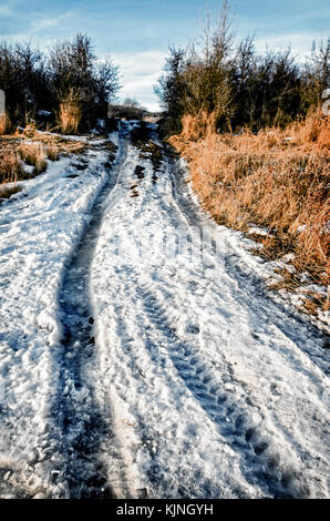 Eisigen Straße, das schwierig zu fahren, eine Landstraße nach oben mit Spuren von Auto Protektoren an den Schnee, Büsche und Bäume entlang der Kanten Stockfoto