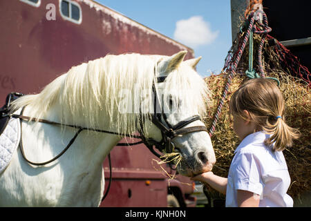 Kleines Mädchen ihr Pony füttern an einem Pferd zeigen Stockfoto