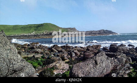 Klippen, Mull of Galloway, Dumfries und Galloway, Schottland, Großbritannien Stockfoto