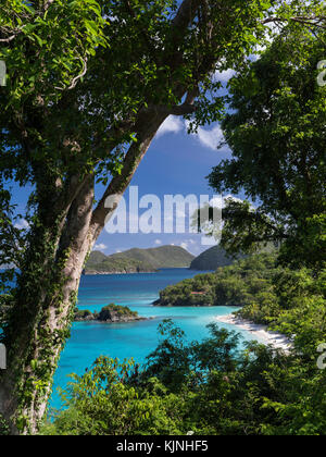 Trunk Bay übersicht, St. John, US Virgin Islands National Park Stockfoto