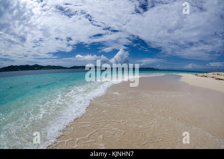 Turtle Beach auf Buck Island Stockfoto