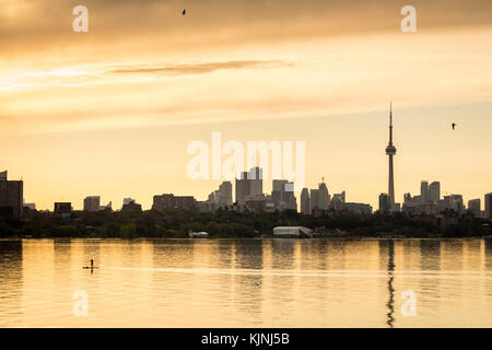 Blick auf die Skyline von Toronto vom Humber Shores Park. Stockfoto