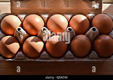 Eier in einem Karton auf dem Tisch. Stockfoto