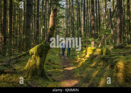 Ältere Wanderer auf Maud Island Trail, Regenwald, Quadra Island, British Columbia, Kanada Stockfoto