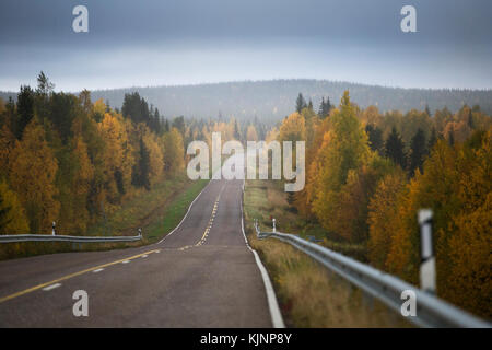 Autumn road though Finland Stockfoto