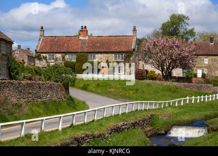 Hutton le Hole North York Moors National Park North Yorkshire Stockfoto