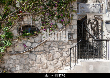 Ein Tor und eine Wand mit Ästen und Blättern in Positano, Amalfi Küste, Italien Stockfoto