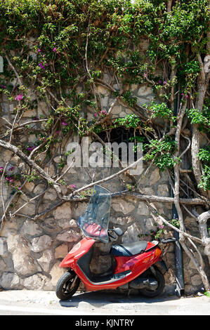 Ein roter Roller in der Nähe einer Wand mit Bäumen Äste und Blätter in Positano, Amalfi Küste, Italien Stockfoto