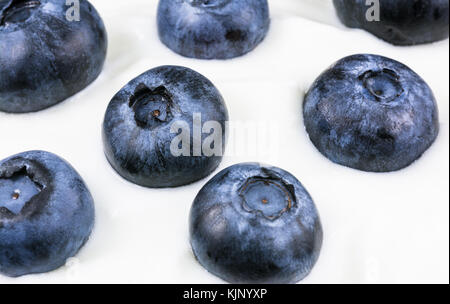 Blaubeeren mit Joghurt als Hintergrund. Dekorative Nahaufnahme von frischen reifen Heidelbeeren in natürlichem Joghurt. Stockfoto