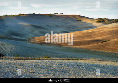 Weiße Straße in der Nähe von San Quirico d'Orcia, Val d'Orcia, Toskana, Italien Stockfoto