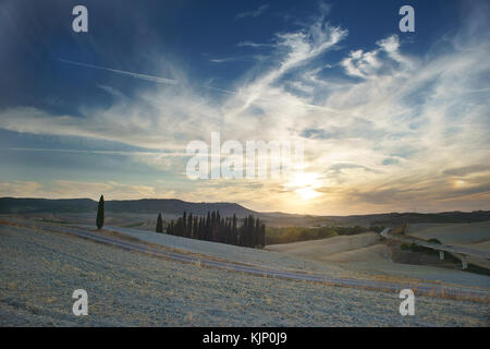 Weiße Straße in der Nähe von San Quirico d'Orcia, Val d'Orcia, Toskana, Italien Stockfoto