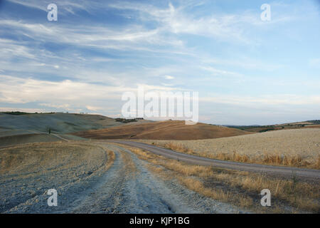 Weiße Straße in der Nähe von San Quirico d'Orcia, Val d'Orcia, Toskana, Italien Stockfoto